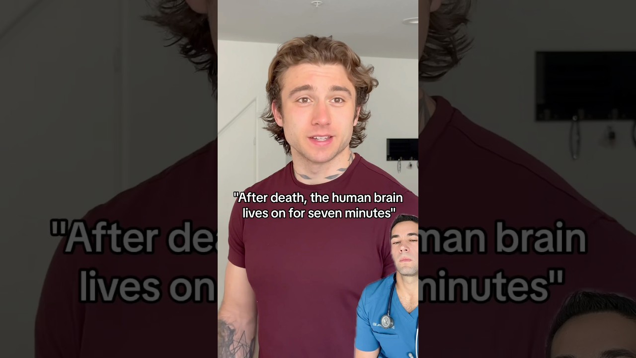 What happens after death? (According to science)