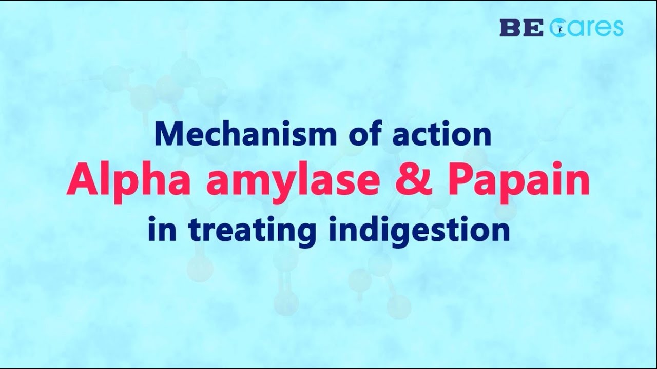 Mechanism of action of Alpha amylase and Papain in treating indigestion
