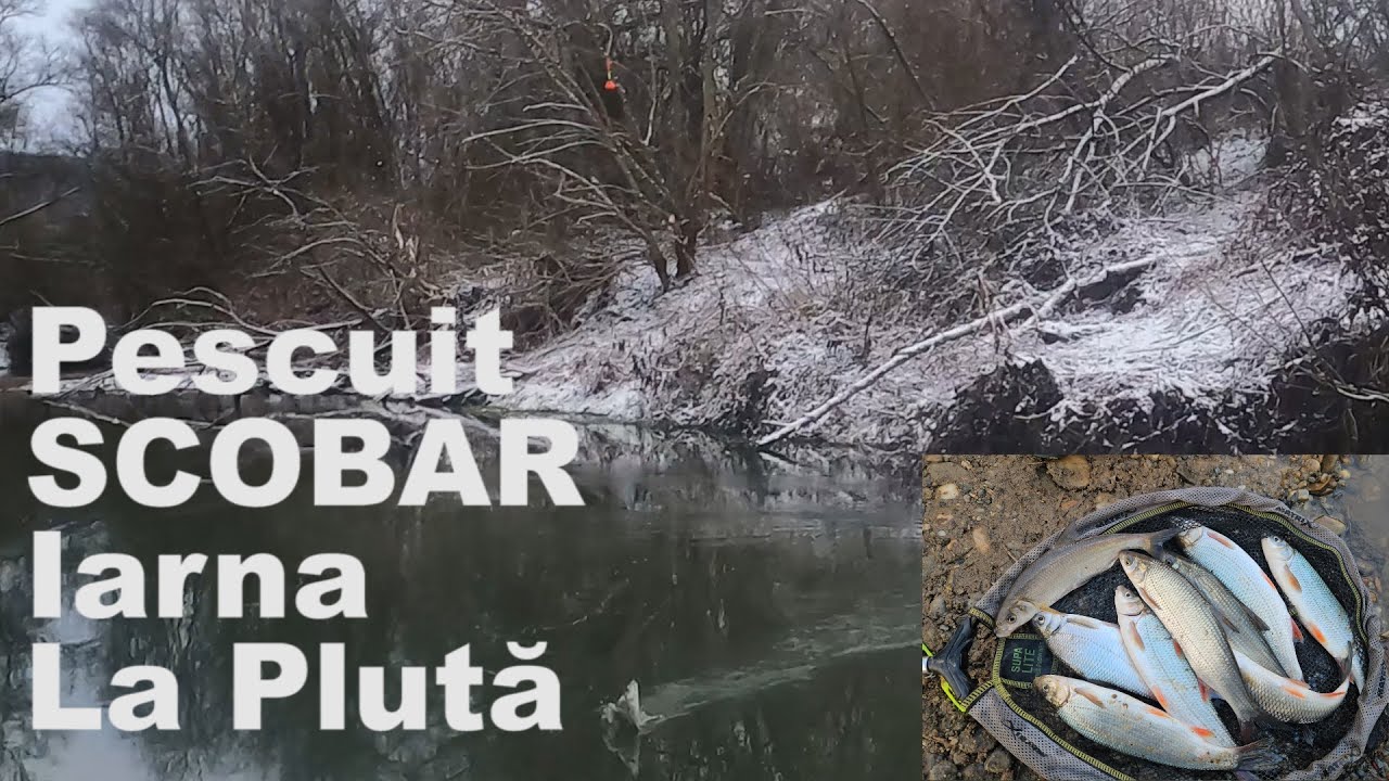 Pescuit Iarna La PLUTA Pe RÂU La SCOBAR si  CLEAN