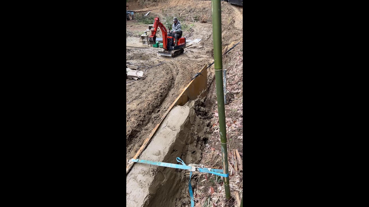 Live: Battle of the Backyard: Excavator vs Nature #119 | God of Ruin akkiro0m