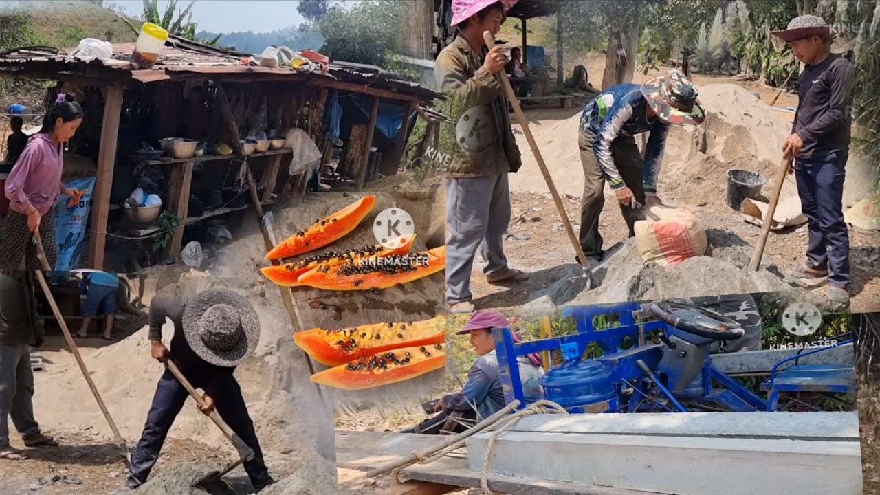 wb mus pab tais mmaiv vaj thiab txiv hluas pliab nkaws tsa tsev