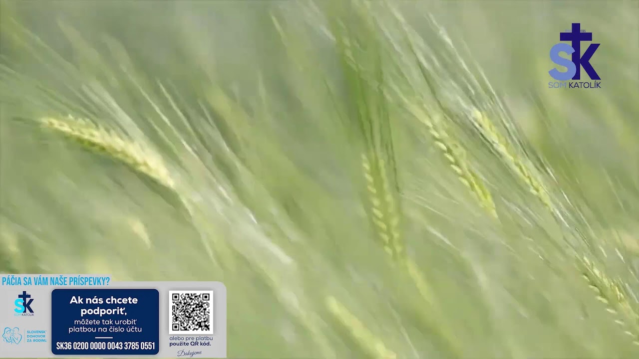 Korunka Božieho milosrdenstva a Krížová cesta z Lagiewnikov