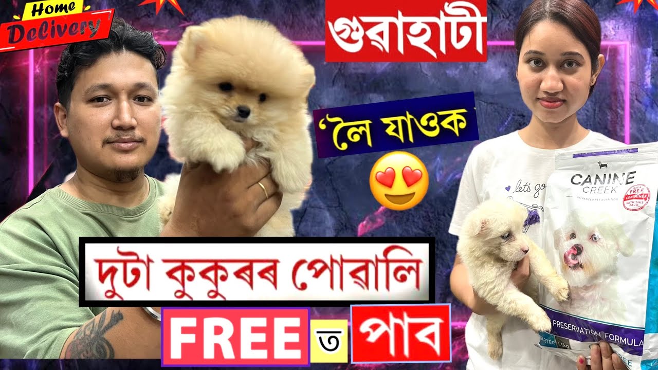Dog wholesale market in Guwahati/2টা পোৱালি free দিব চাই লওঁক