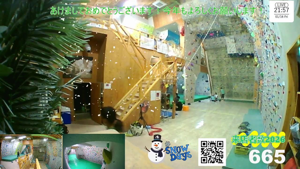 【LIVE CAMERA】Sport Climbing Gym『RainbowCliff』