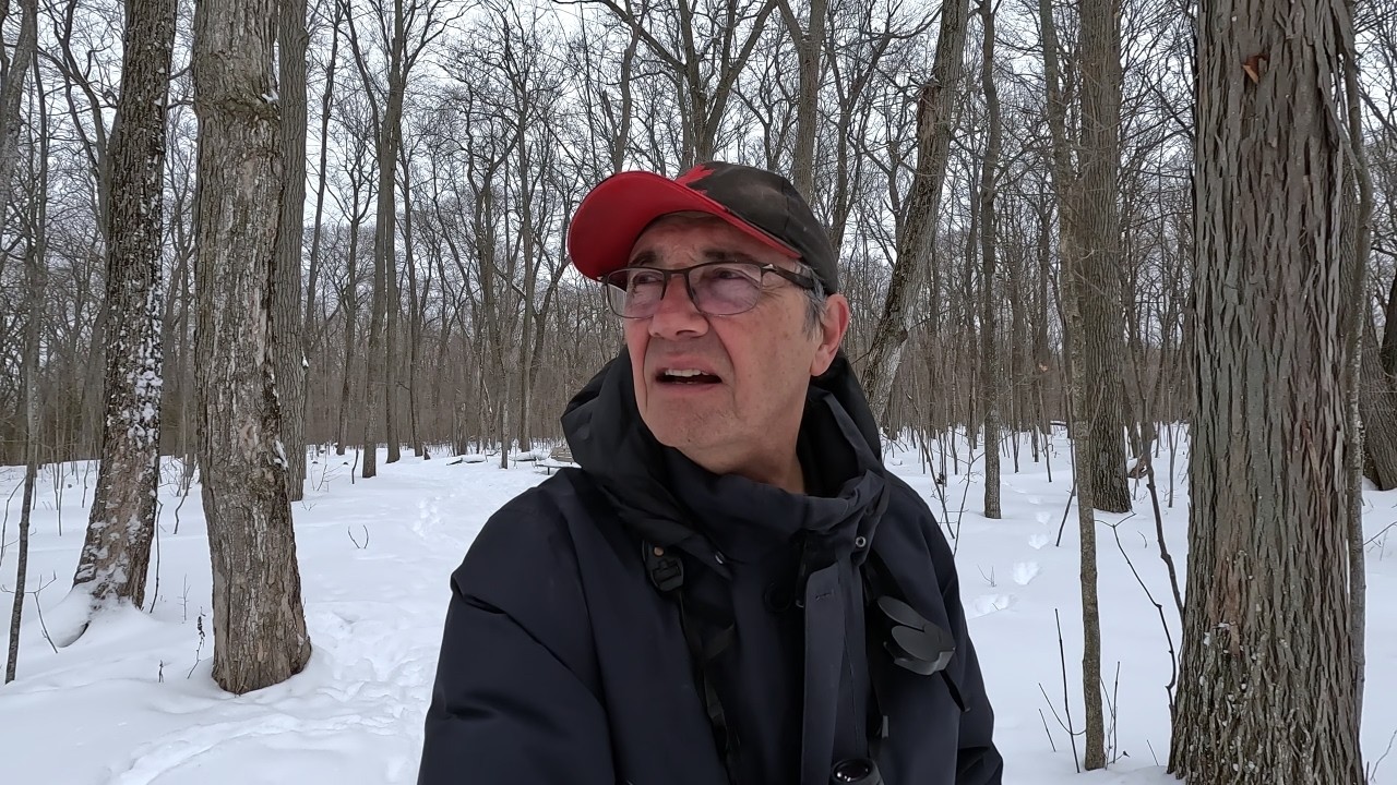 Late Winter Walk At Lemoine Point Conservation Area, Kingston Ontario