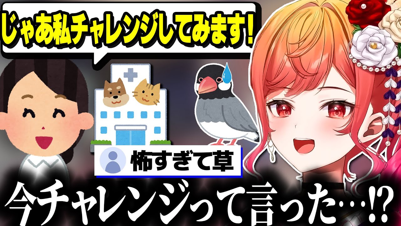 ペットの文鳥を連れて行った動物病院が色々怖すぎた話をするりりーかｗｗｗ【ホロライブ切り抜き/一条莉々華/ReGLOSS/DEV_IS】