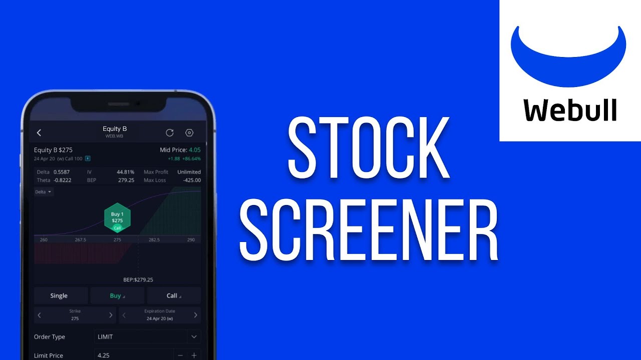 Учебное пособие по использованию программы Webull Stock Screener (2026)