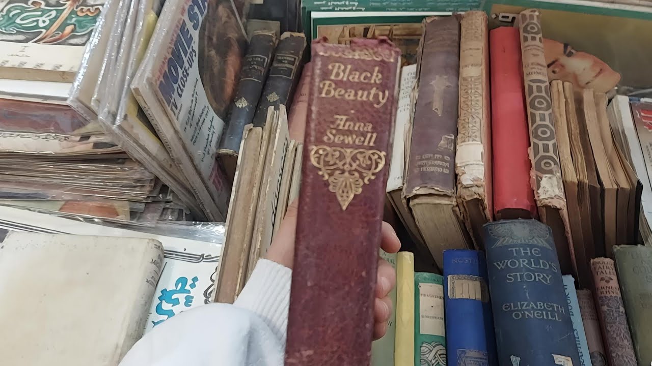 A Day at the Cairo Book Fair 📚