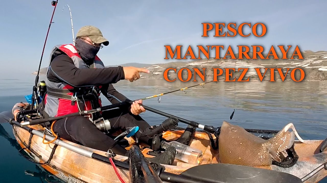 PESCO MANTARRAYA desde mi KAYAK Barracuda Pro - Naranjito Kayak -