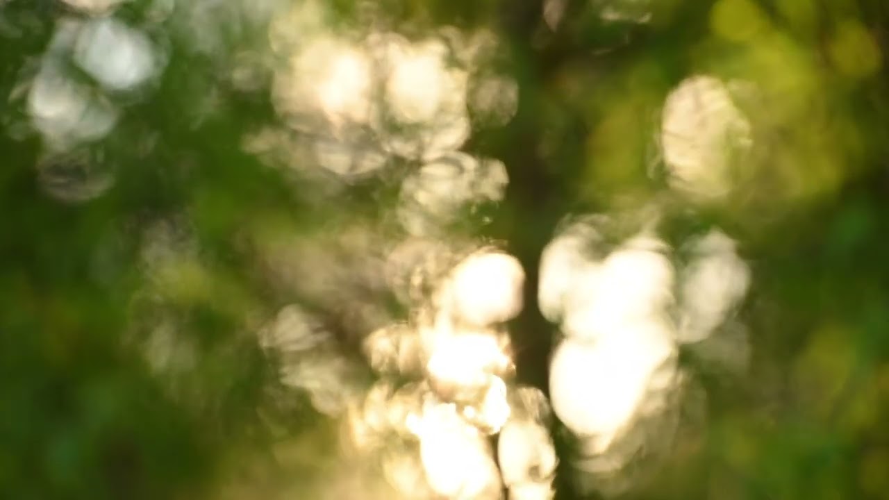 청포도 - OMNIKIND (원작 : 이육사 청포도)
