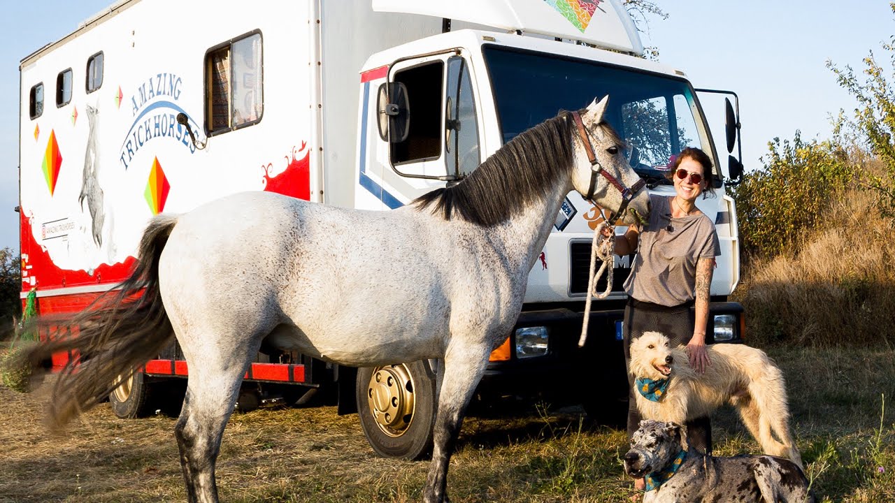 Roomtour #11 - MAN Lkw - das verrückte Zuhause von Kathrin, ihren zwei Hunden und ihrem Pferd 🐎 🚐 🔥