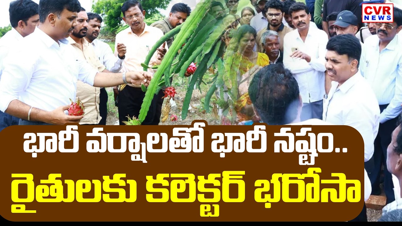 Nalgonda District Collector Observing To Crops Damaged By Heavy Rains | CVR News