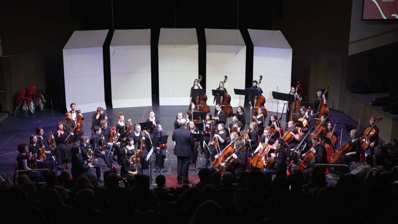 WSD Honor Orchestra Concert - High School - Jan 30, 2026