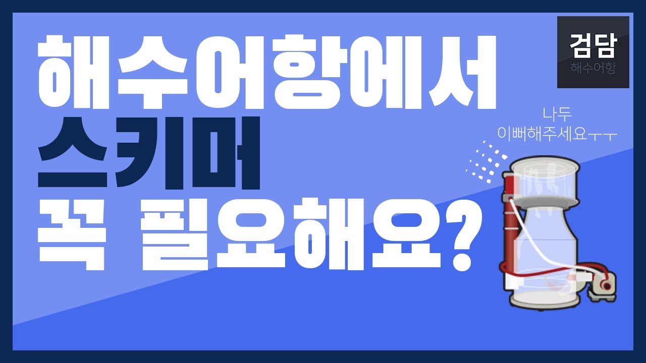 스키머 꼭 필요한가요?  (해수어항 셋팅 시 스키머의 중요성 그리고 스키머 원리) 스키머의 추천과 사용법 등 스키머의 모든것