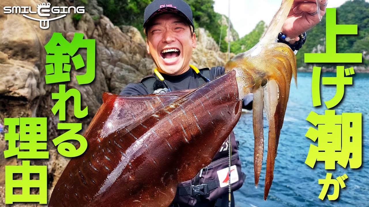 【スマイルエギング Season2】新章開幕!和歌山の沖磯で大型アオリイカ出現!? (1438)