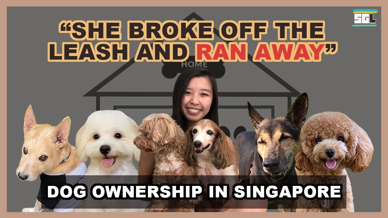 Millennials Discuss Dog Ownership | Noted | SG Layers