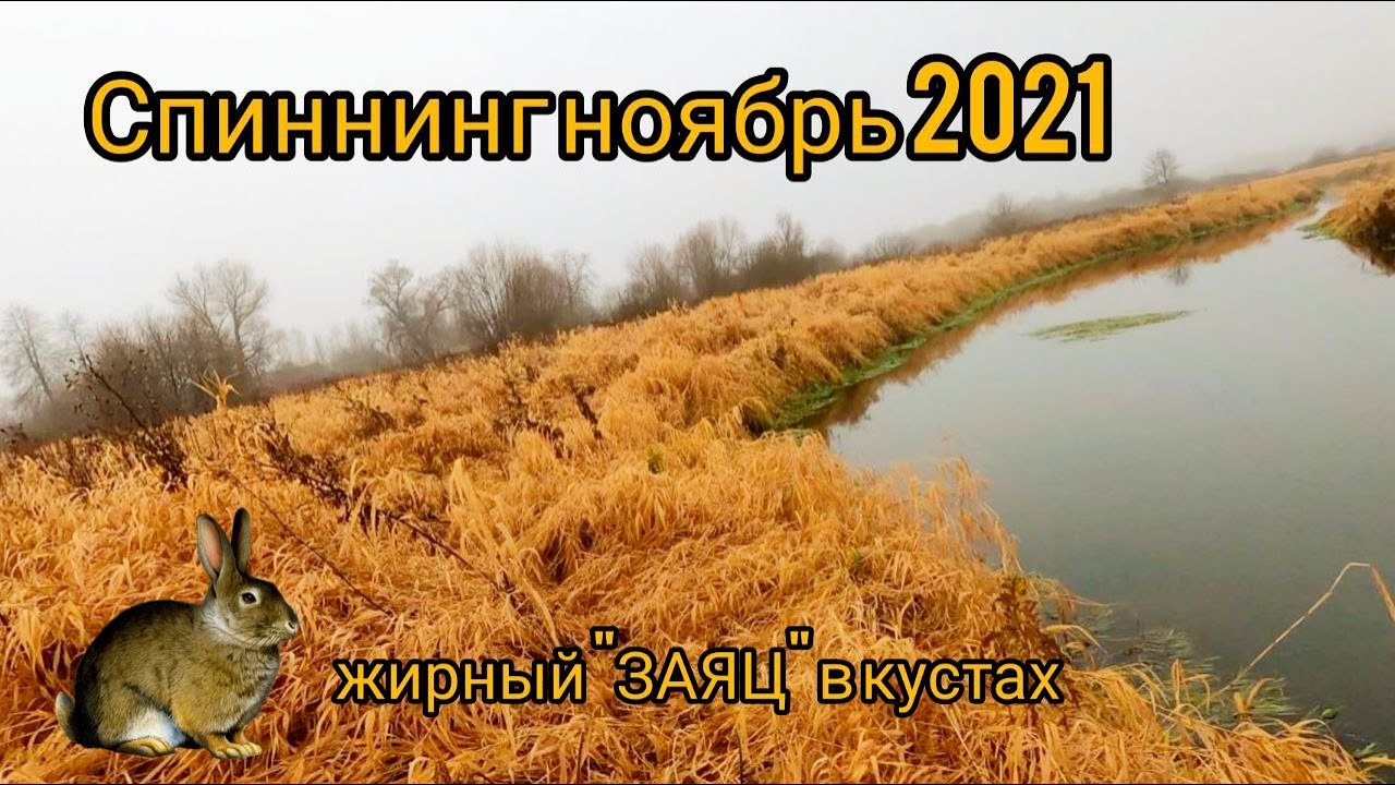 Спиннинг осень 2021 / жирный 