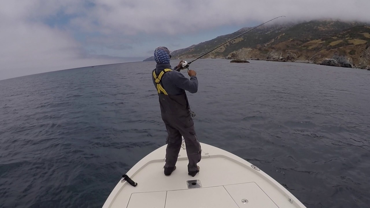 RadioSilenceFishing: Exit Strategy