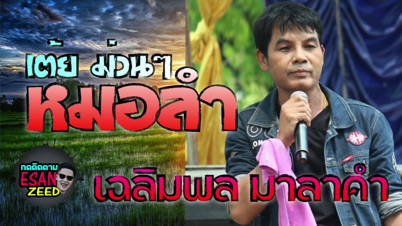 เต้ยม่วนๆ เฉลิมพล มาลาคำ