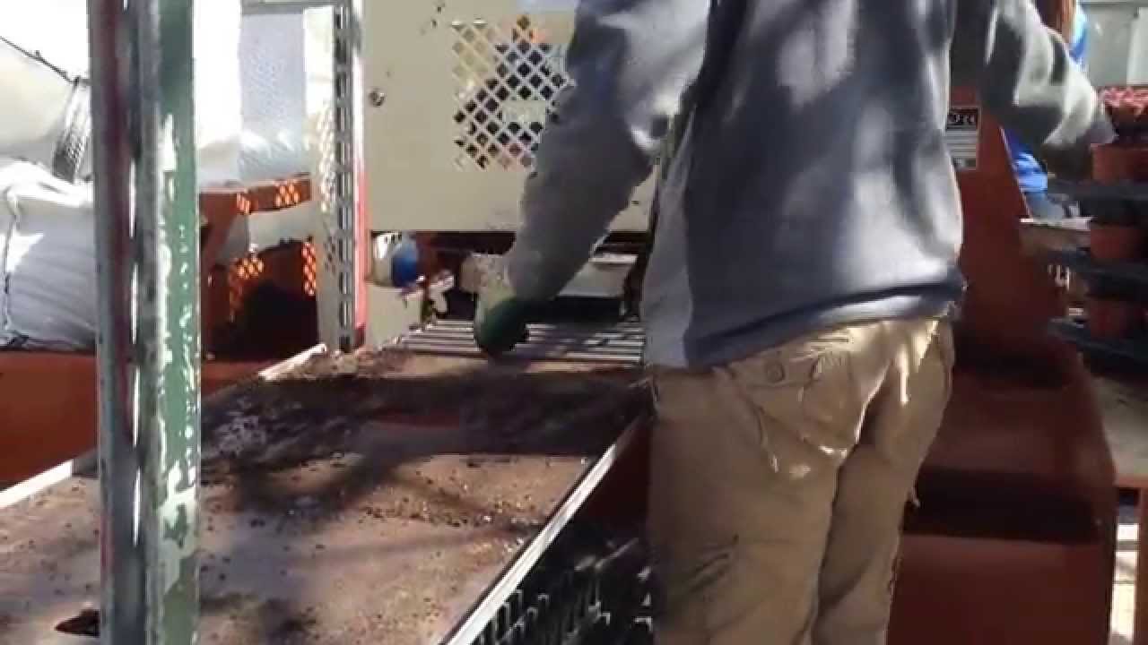Javo quick filler, potting machine, tray filler part 2 Crimond nurseries