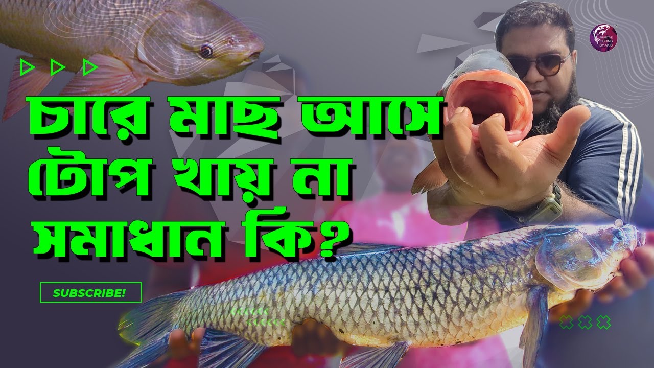 চারে মাছ আসে টোপ খায় না #primitivefishingbyakib