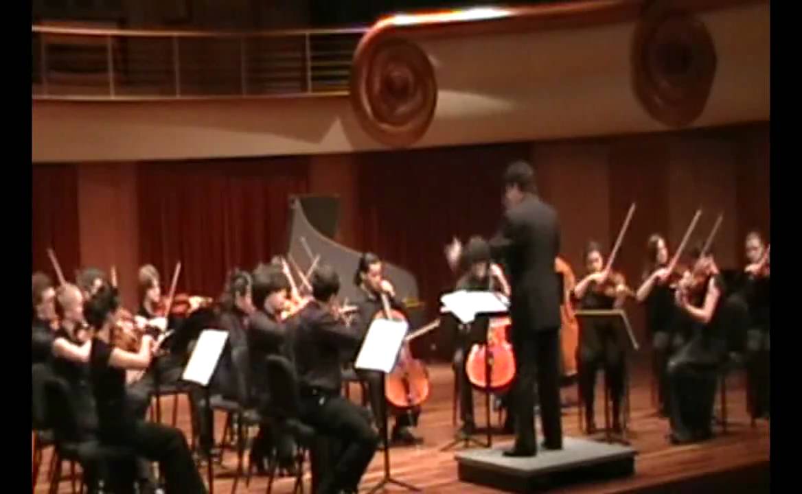Tchaikovsky - Serenade for Strings in C Major, Op. 48 (1st mov.)
