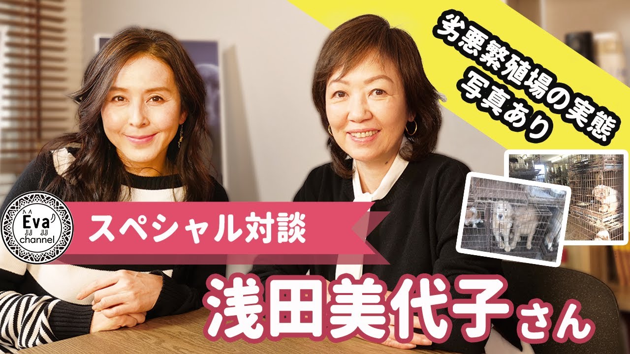 #29【スペシャル対談① 女優 浅田美代子さん】芸能界を代表する動物愛護活動家 浅田美代子さんとのスペシャル対談！！～動物愛護にかける想い～（前編）