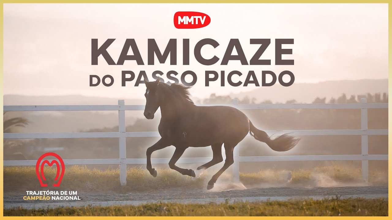 KAMIKAZE DO PASSO PICADO - A TRAJETÓRIA DE UM CAMPEÃO NACIONAL