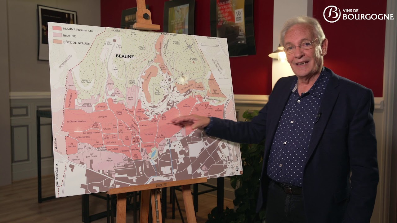 L'appellation Beaune décryptée au travers de sa géologie et de sa géographie