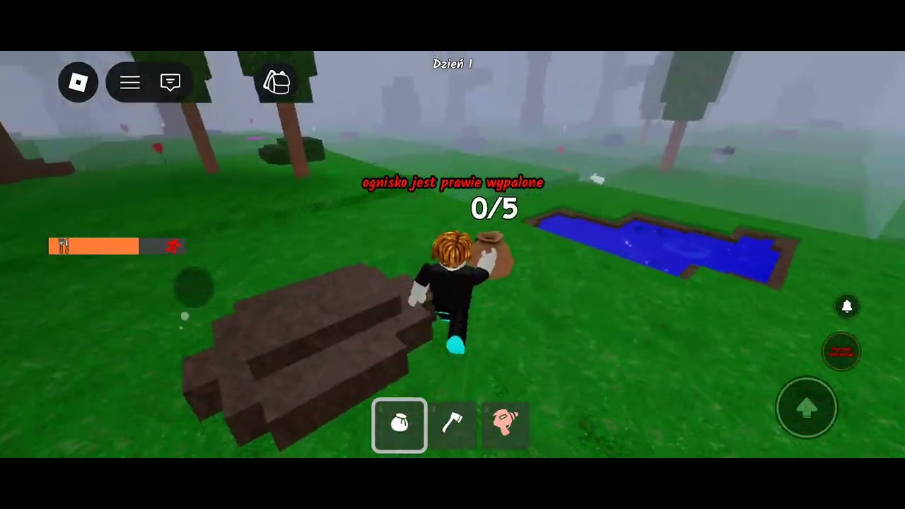 Jak przetrwać ♾️ nocy w lesie🏕️