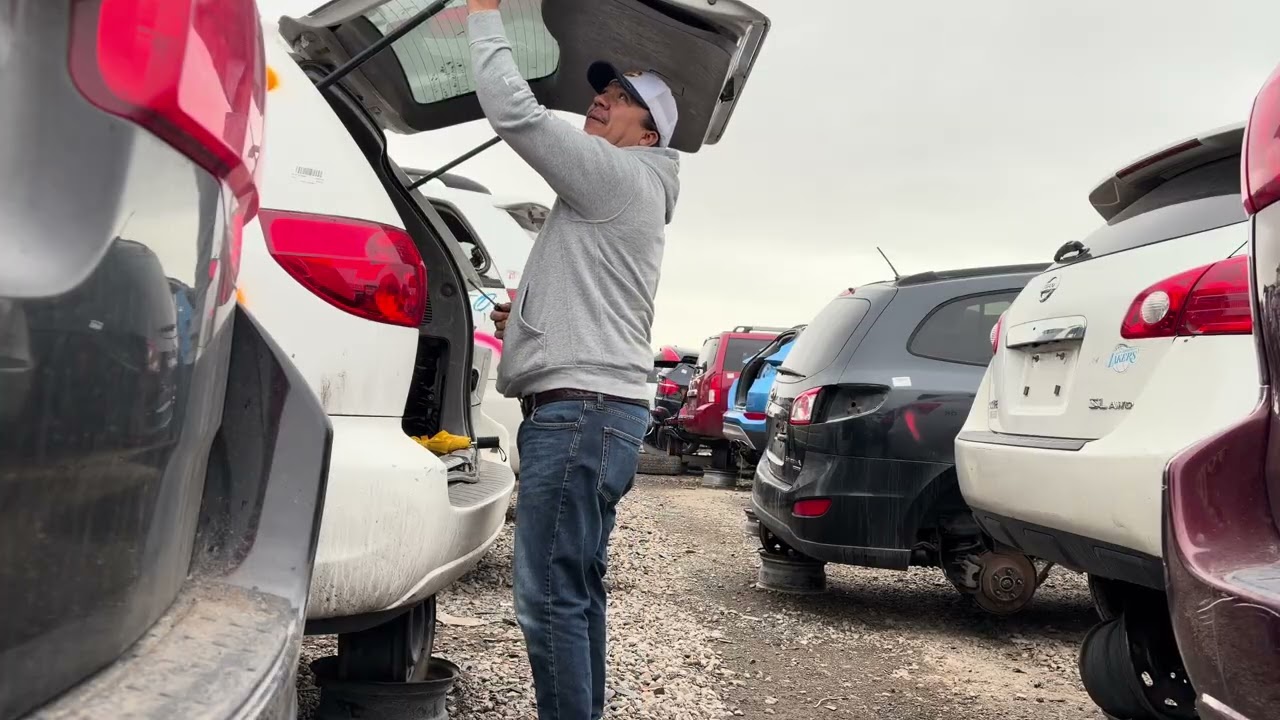 Acompañenme al yonque