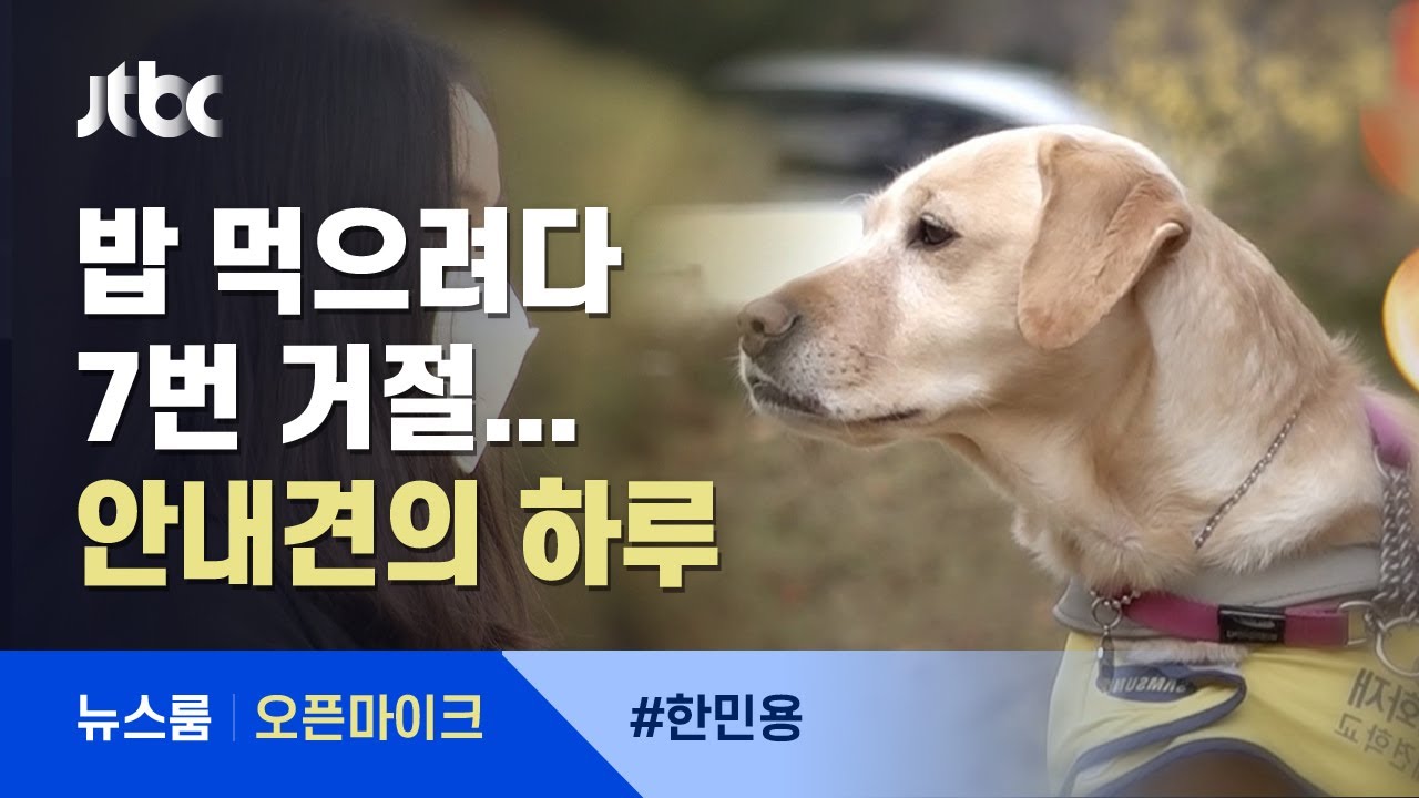 [오픈마이크] 시각장애인 안내견의 하루…
