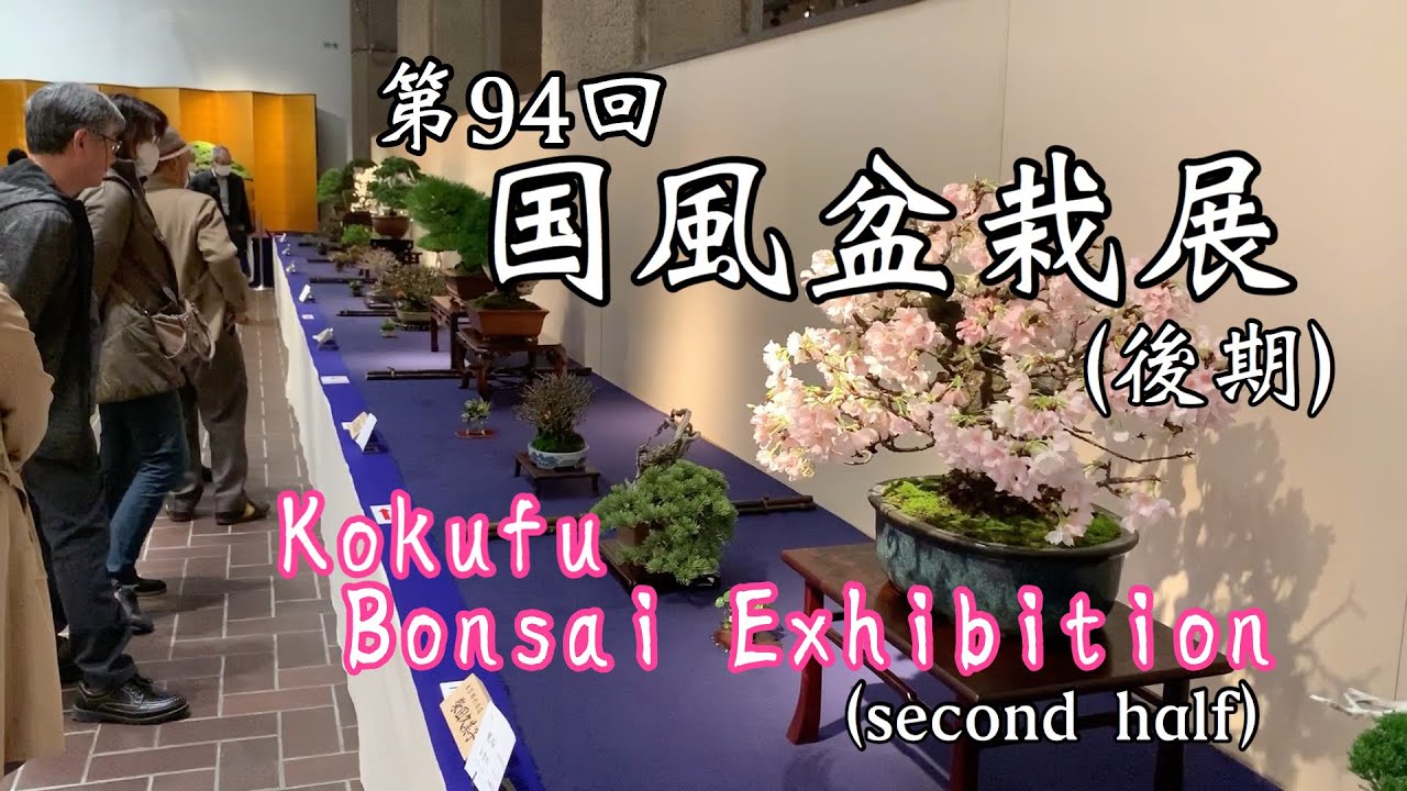 第94回 国風盆栽展(後期)/Kokufu Bonsai Exhibition