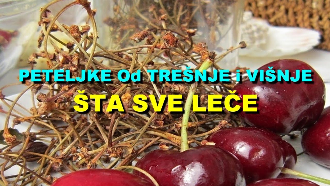 PETELJKE Od TRE&Scaron;NJE i VI&Scaron;NJE - &Scaron;TA SVE LEČE