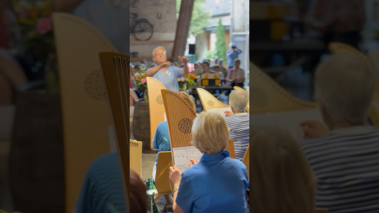 Veeh-Harfe Hofkonzert 2025 ✨