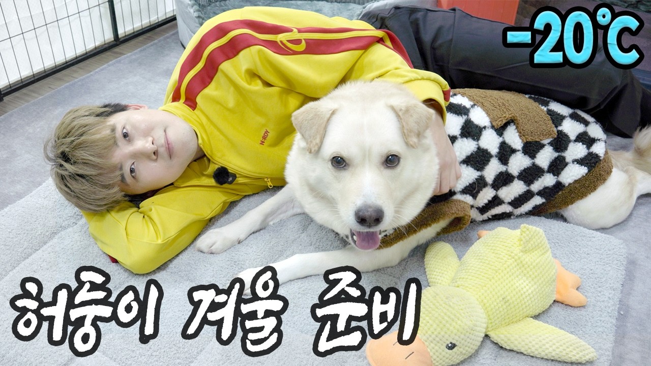 -20도 너무 추워져서 허둥이 겨울준비 해보았습니다!!! 따뜻한 허둥이 방을 만들어보자!