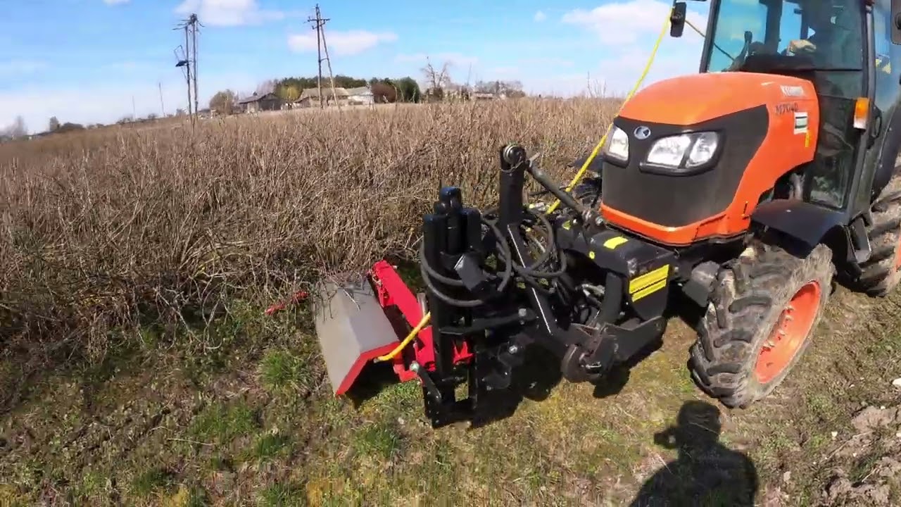 Herbicydy skoro wiosny w porzeczkach- na jak długo?