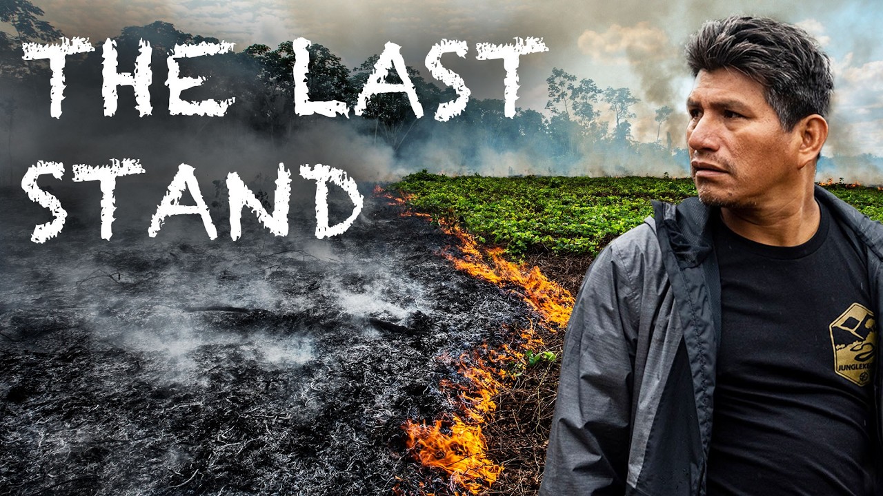 Saving The Amazon Rainforest - Junglekeepers &mdash; Mission Statement