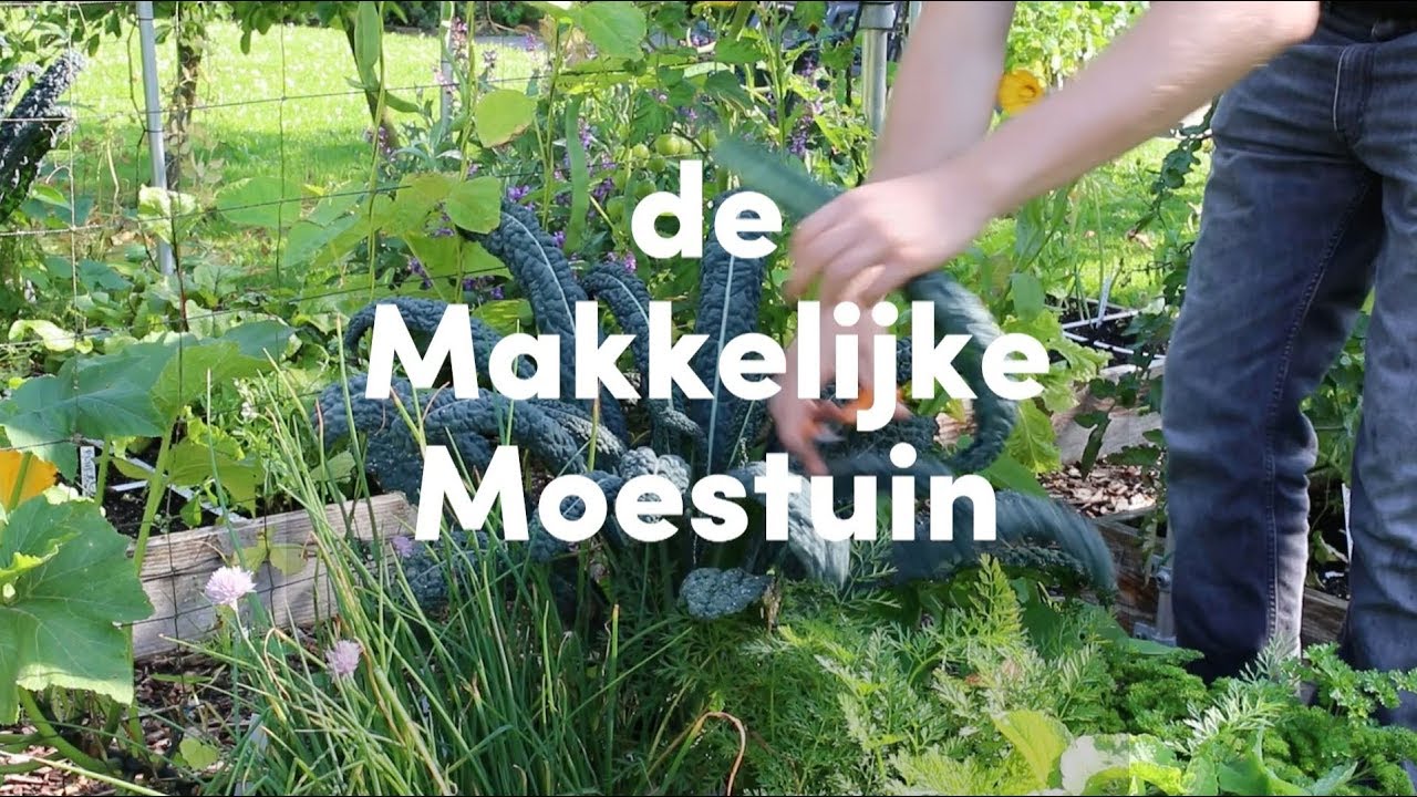 Hoe werkt de Makkelijke Moestuin
