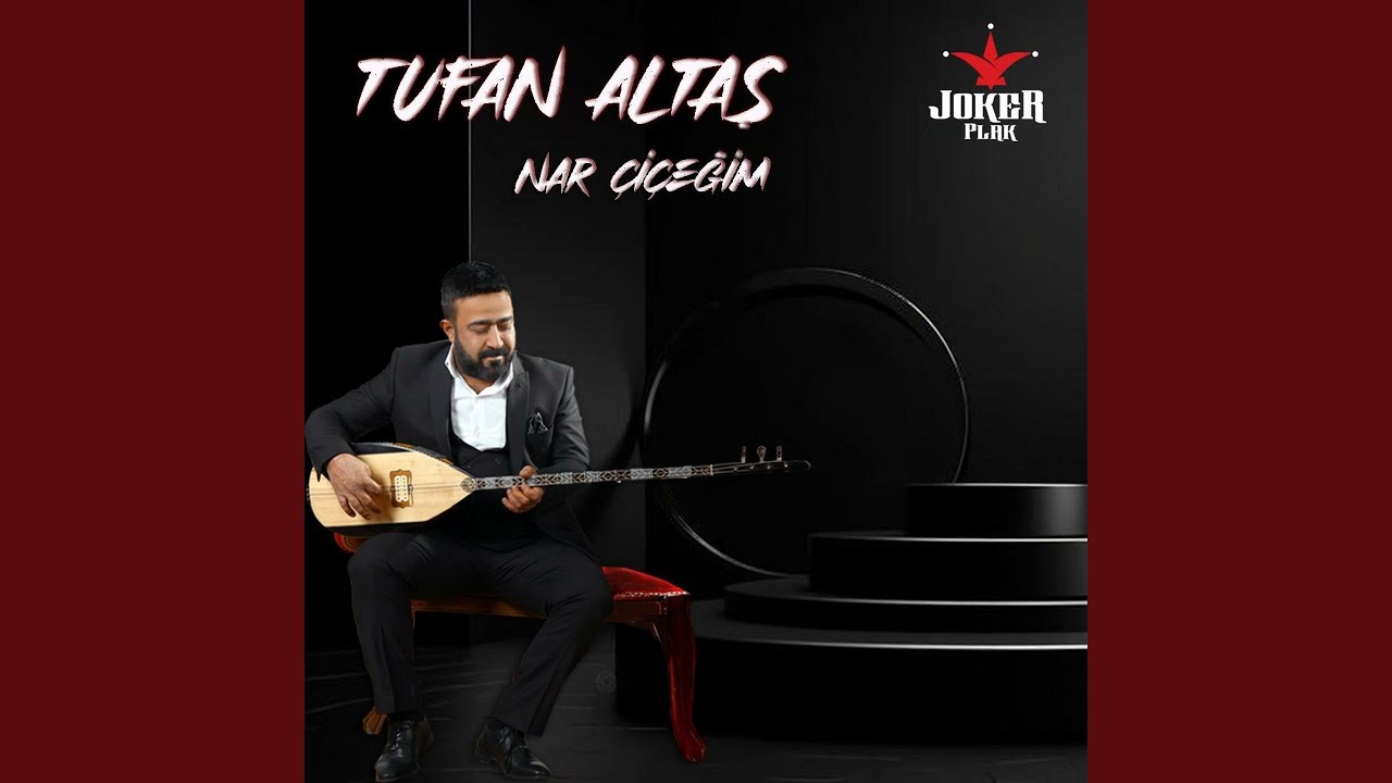 Bülbül Havalanmış Yüksekten Uçar