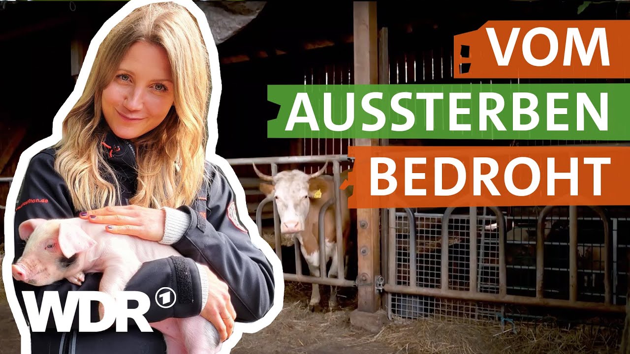 Warum alte Nutztierrassen so wichtig sind | neuneinhalb – Deine Reporter | WDR