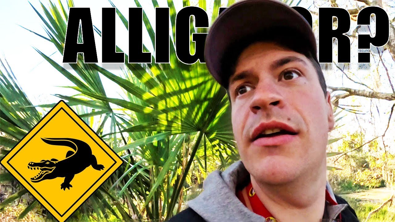 🇺🇸 Ich bin in einen gesperrten Alligator-Sumpf gegangen