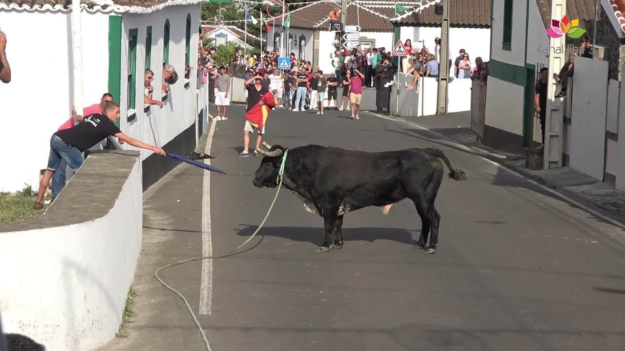 TOURADA EM SÃO BRAS RB- HF- OT- PT - SÃO JORGE 27- 08 -2025