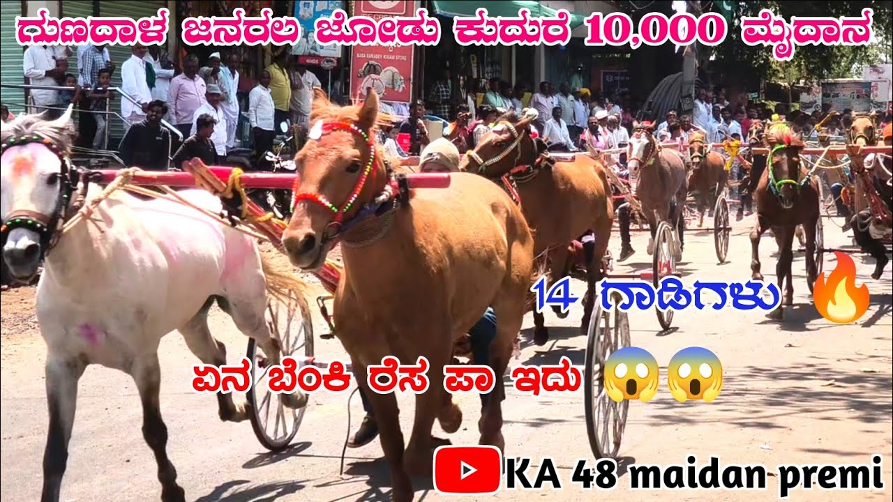 ಗುಣದಾಳ ಜನರಲ ಜೋಡು ಕುದುರೆ 10,000 ಮೈದಾನ🚩🔥🔥14 ಗಾಡಿಗಳು gunadala maidana 🔥 #ka48maidanpremi 