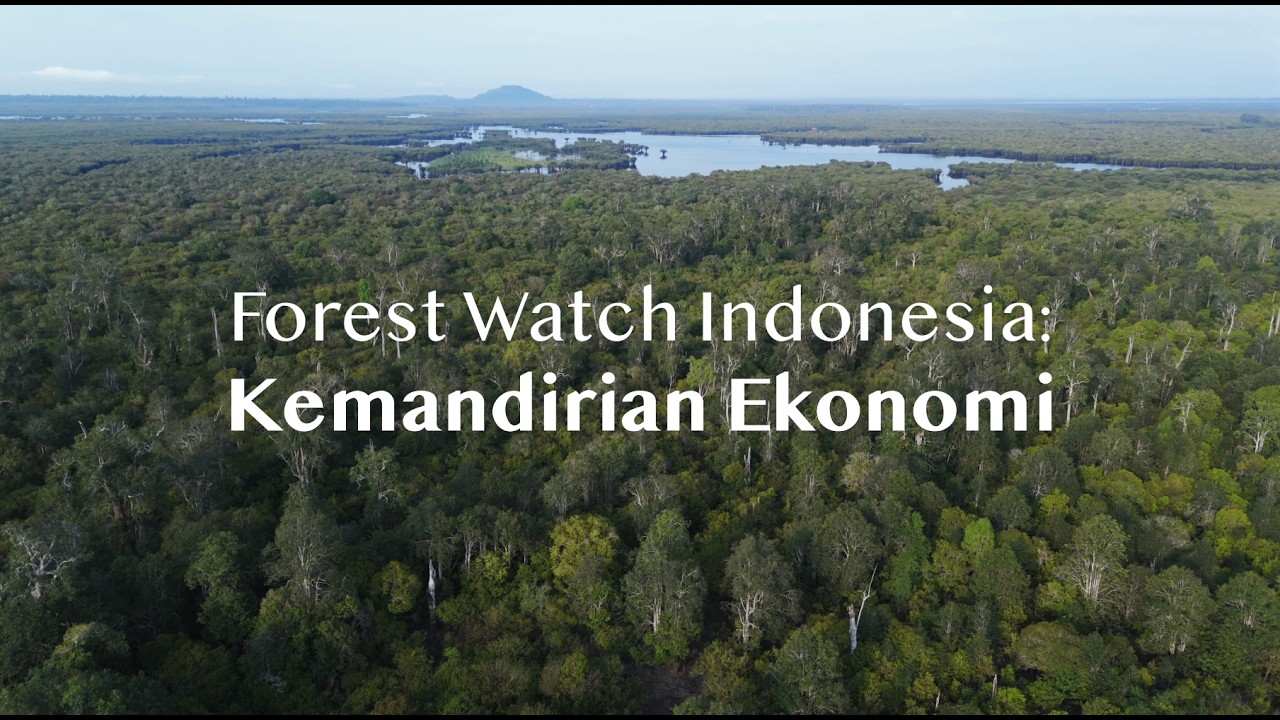Kemandirian Ekonomi : Masyarakat Adat sebagai Penjaga Hutan dan Ekonomi Berkelanjutan