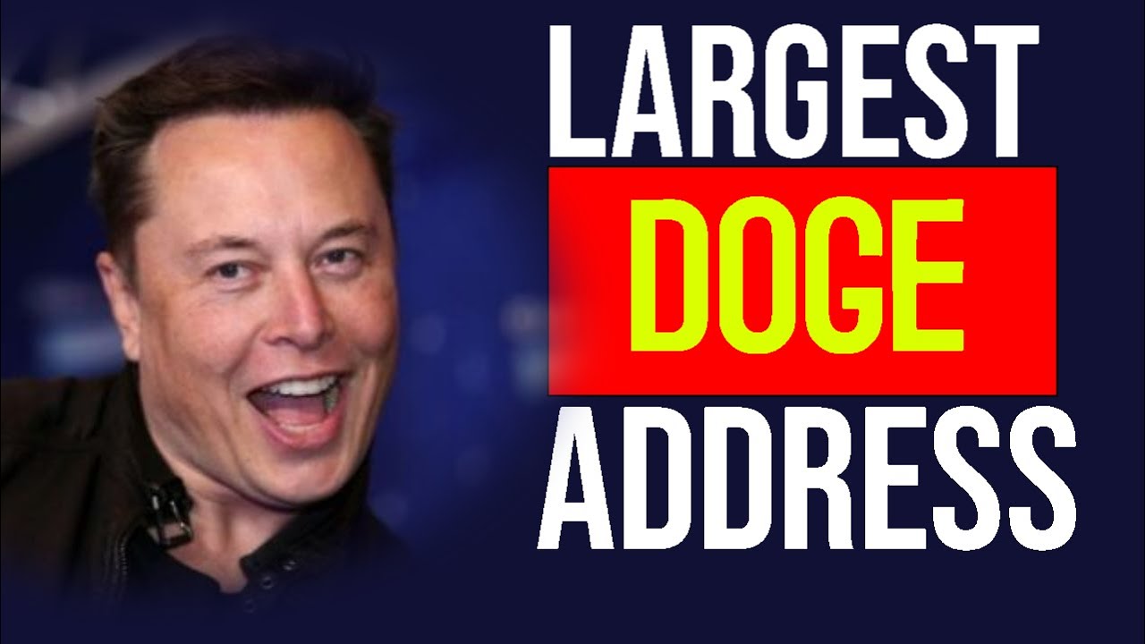Guess who Owns The Largest Dogecoin Address and Third Largest BTC Wallet