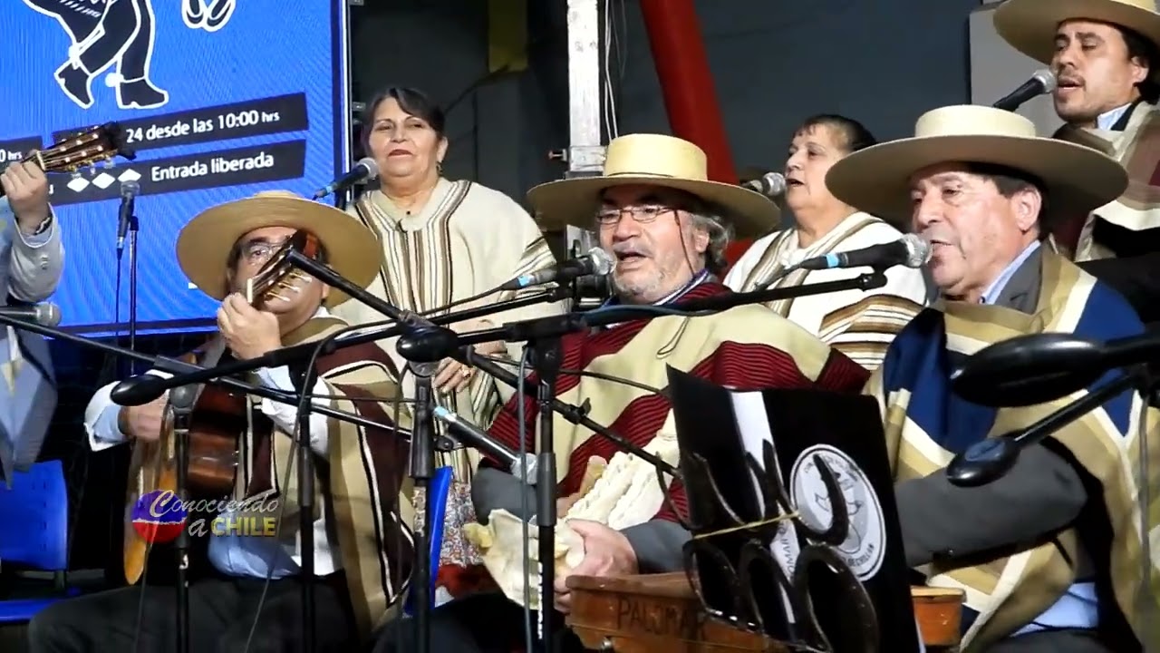 Conjunto Palomar de Chillán - 443 Cuecas Chillán 2023 #cuecastodoelaño