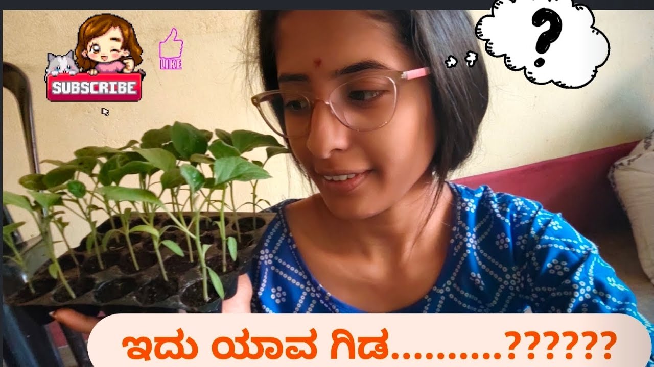 ನಮ್ಮ ಮನೆಗೆ ಬೇಕಾದ ದಿನ ಬಳಕೆ ತರಕಾರಿಯನ್ನು ನಾವೇ.. ಬೆಳೆಸಿಕೊಂಡಿದ್ದೇವೆ😇😊💥. #hallihudugi #villagelife 