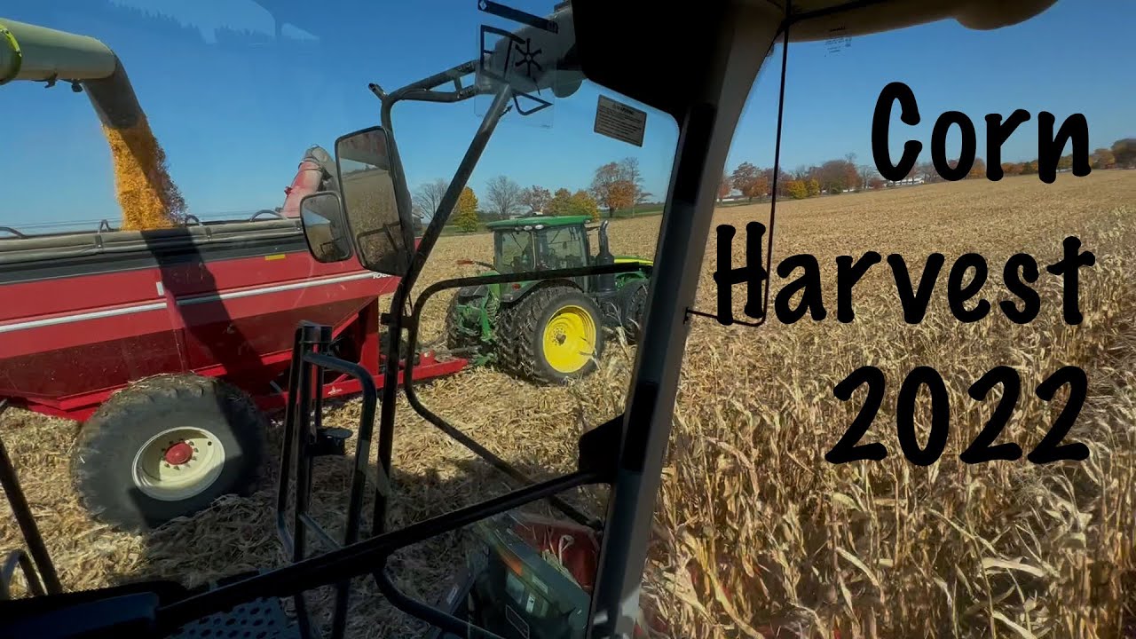 Corn Harvest 2022 | Another Day...Another Struggle