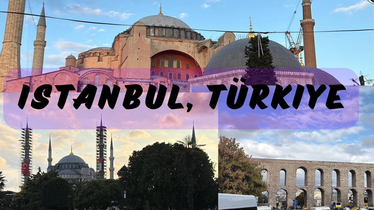 Istanbul, Türkiye #istanbul #turkey #explore #travel #travelvlog #europe #asia #mosque #sea #cat
